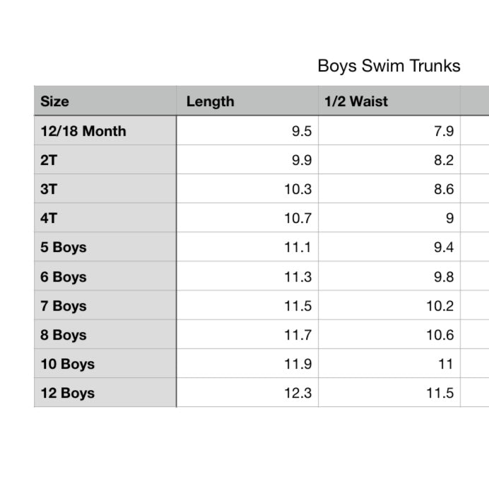 READY TO SHIP Magical Cruise Youth Swim Trunks
